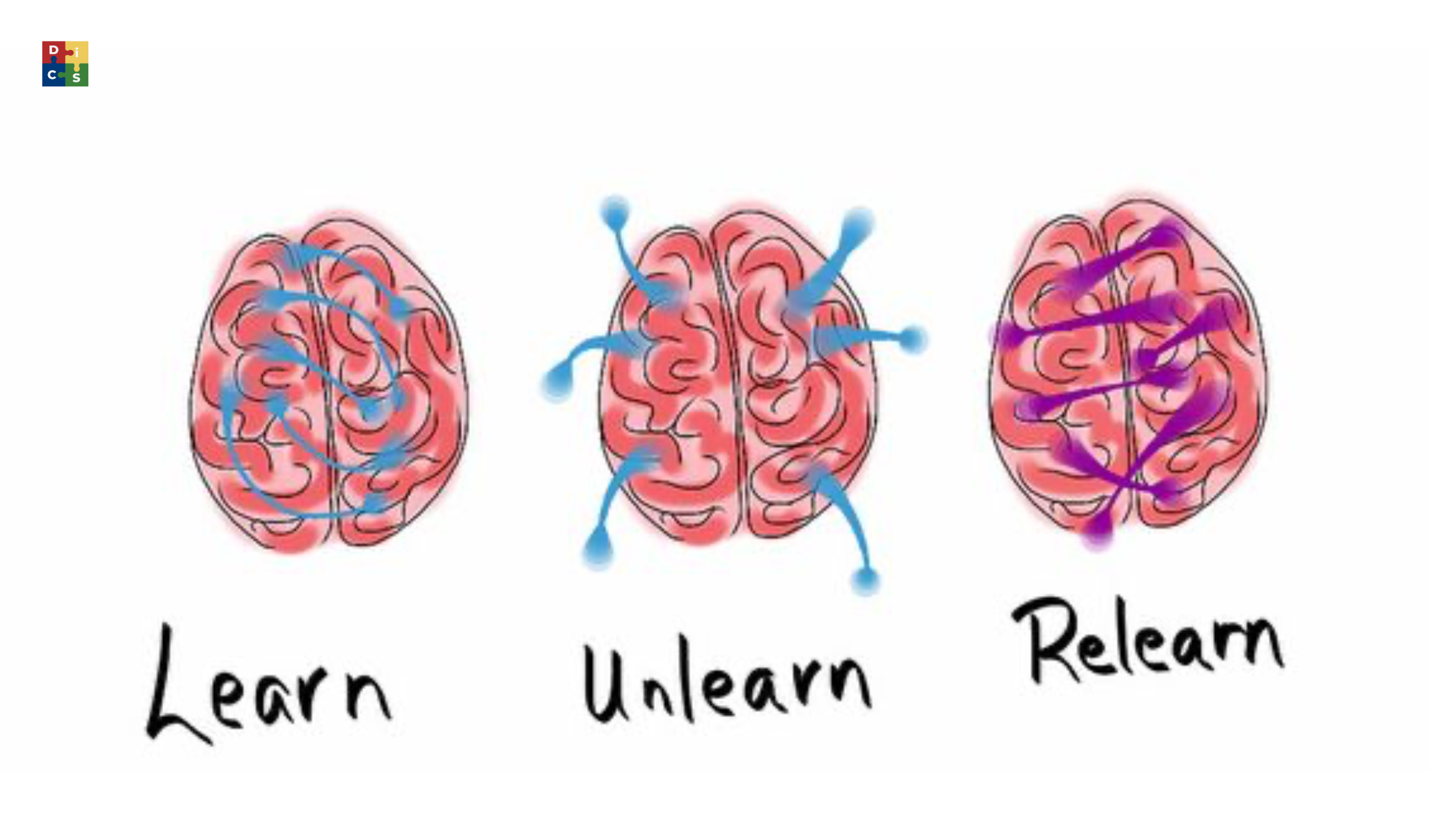 Bí quyết để bạn “cân bằng” hai bán cầu não