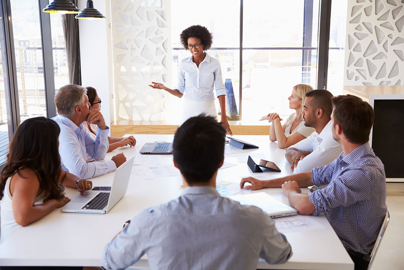 which DiSC style is the best for leadership