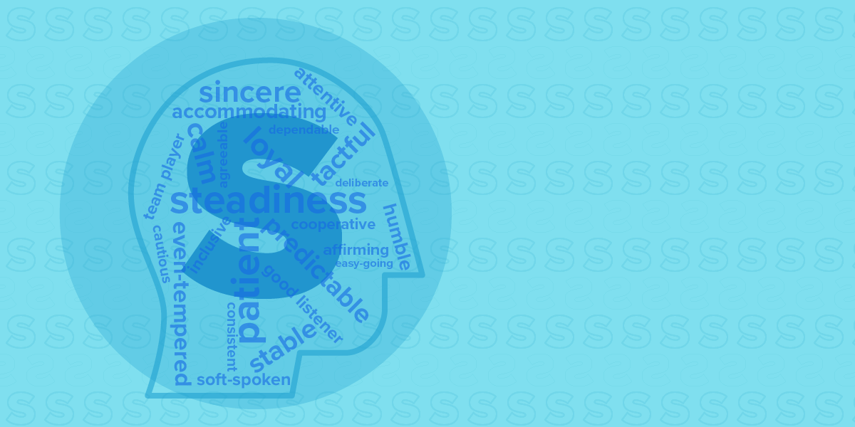 disc personality test s meaning