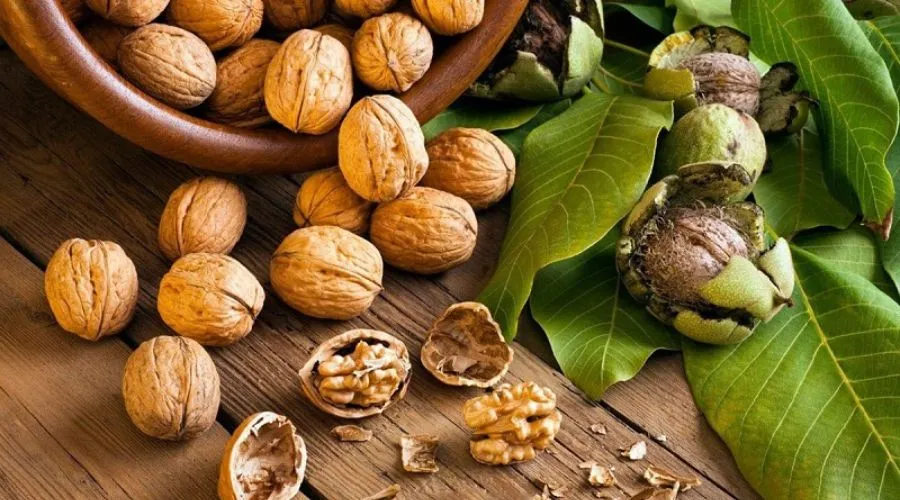 Hạt óc chó