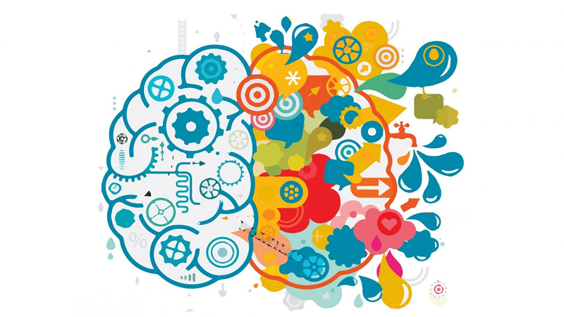 Mối quan hệ giữa não trái, não phải - Chỉ số IQ, EQ