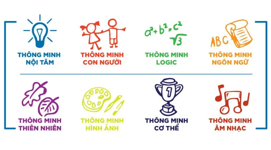 Thuyết đa trí thông minh (Multiple Intelligences) là gì?